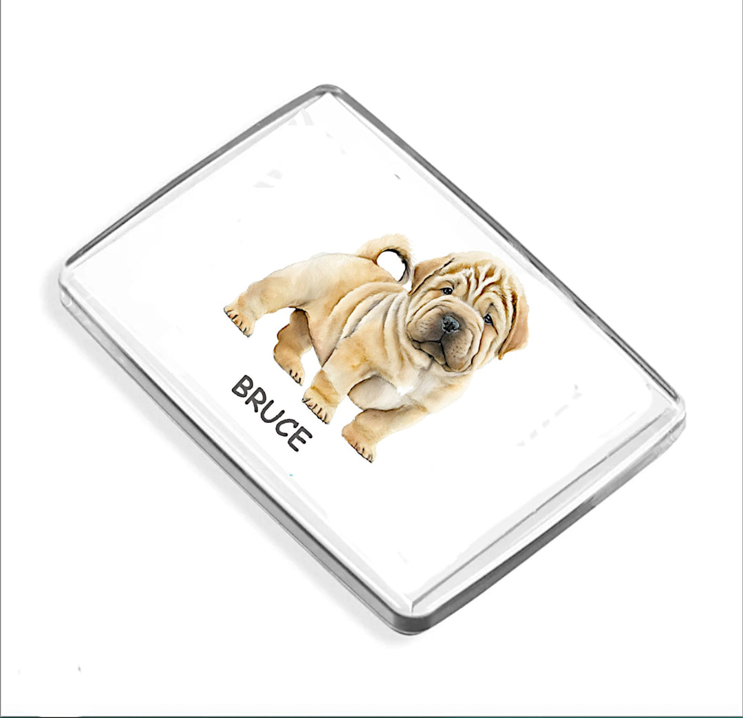 Fridge Magnets - Pets - Gifts for Icons