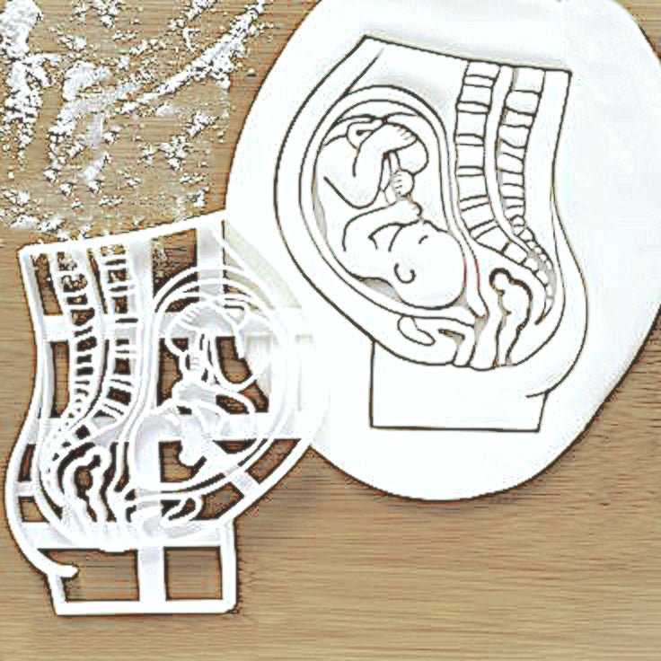 A silver cookie cutter shaped like a baby in the uterus, designed for creating pregnancy-themed cookies.