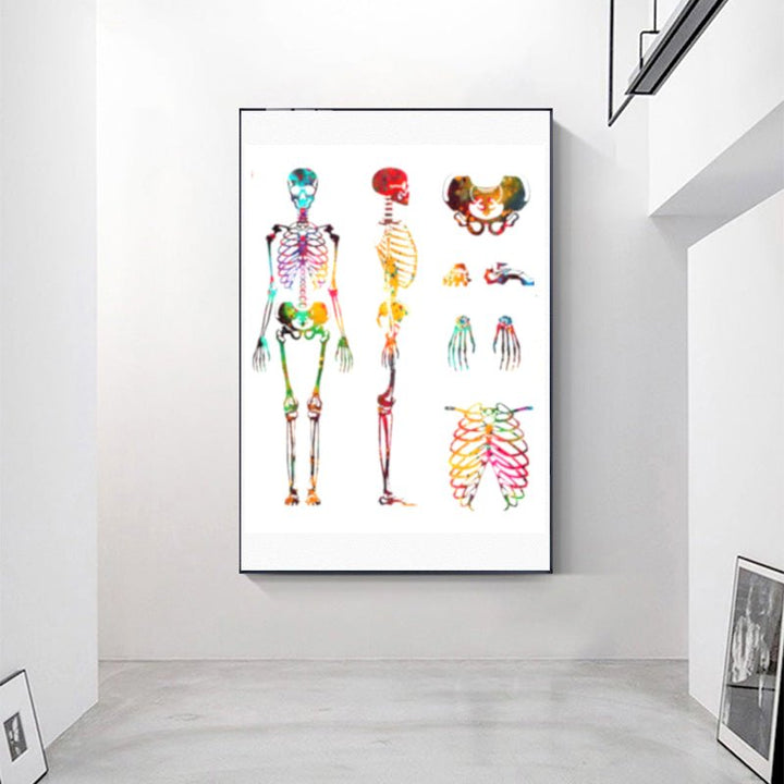 Skeleton Front and Rear Sections - A detailed watercolor print on 100% cotton canvas, showcasing the anatomical front and rear views of a skeleton, perfect for educational purposes or as a unique decorative piece.