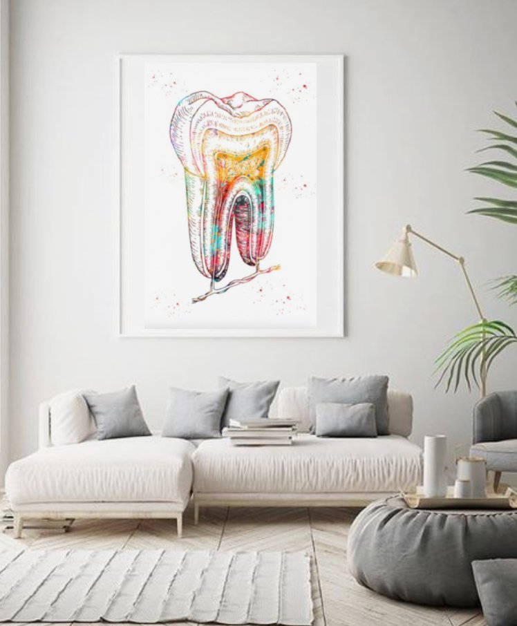 Tooth Cross Section 100% Cotton Canvas Wall Art Print - A detailed and educational wall art print featuring a scientific illustration of a tooth cross section, printed on high-quality 100% cotton canvas, perfect for dental offices, clinics, or dental enthusiasts' home decor.