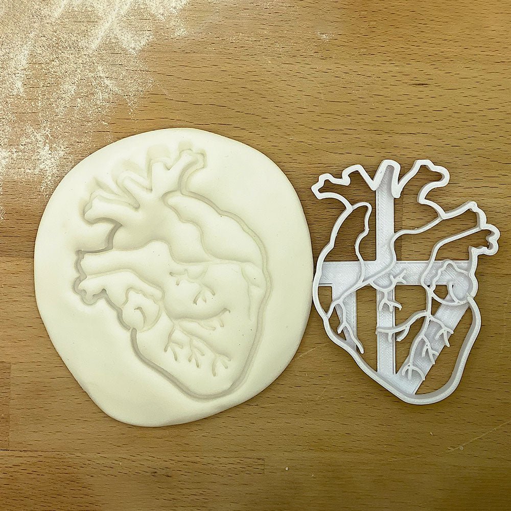 Anatomical heart cookie cutter and fondant stamp, designed for baking enthusiasts and professionals, featuring detailed heart shape for unique cookie designs.