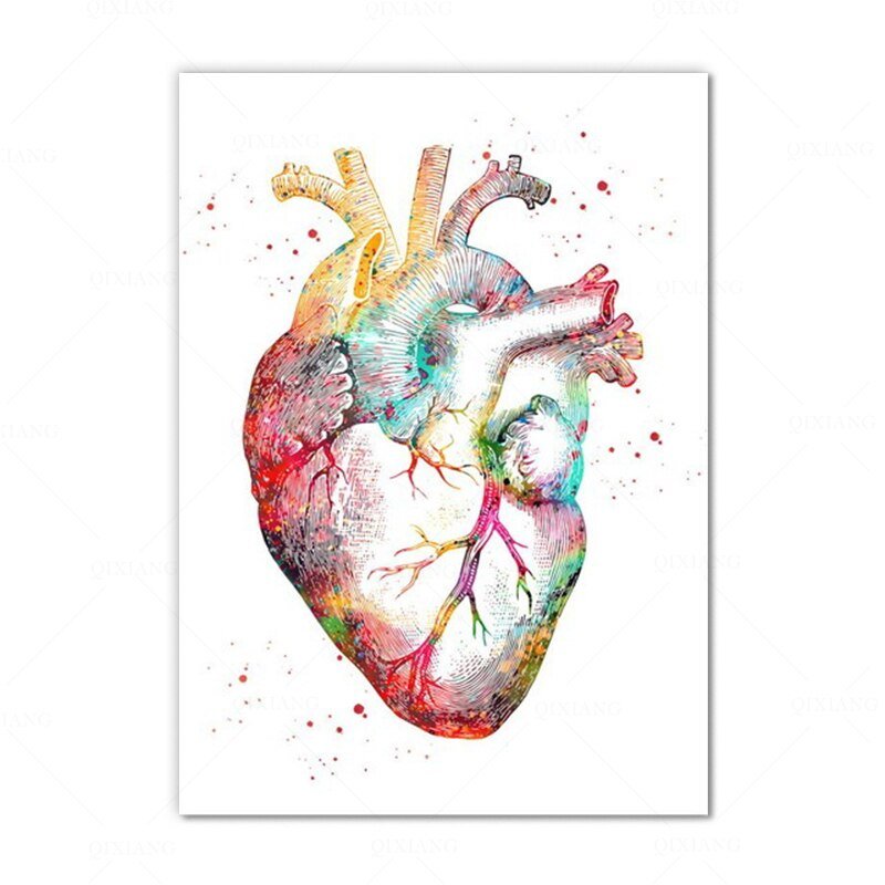 Anatomical Heart Poster 100% Cotton Canvas Watercolour Print