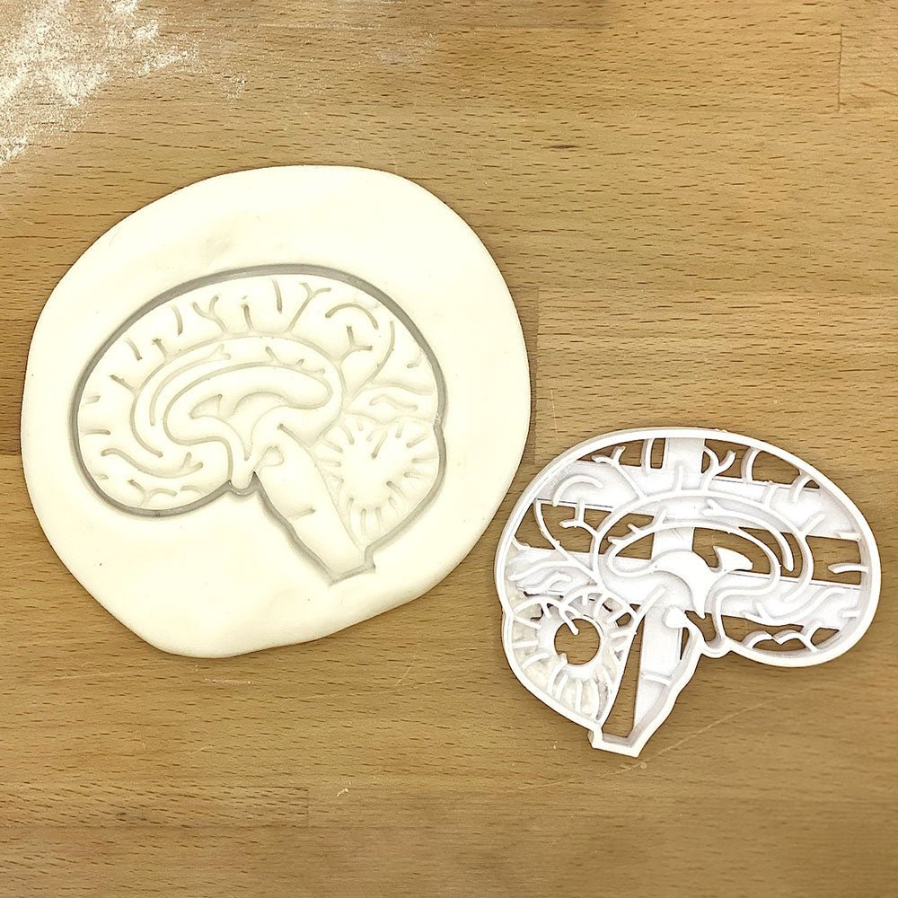 Brain Stem Cookie Cutter - A fun and unique baking tool perfect for creating brain-themed cookies, ideal for educators, healthcare professionals, or anyone celebrating neuroscience.