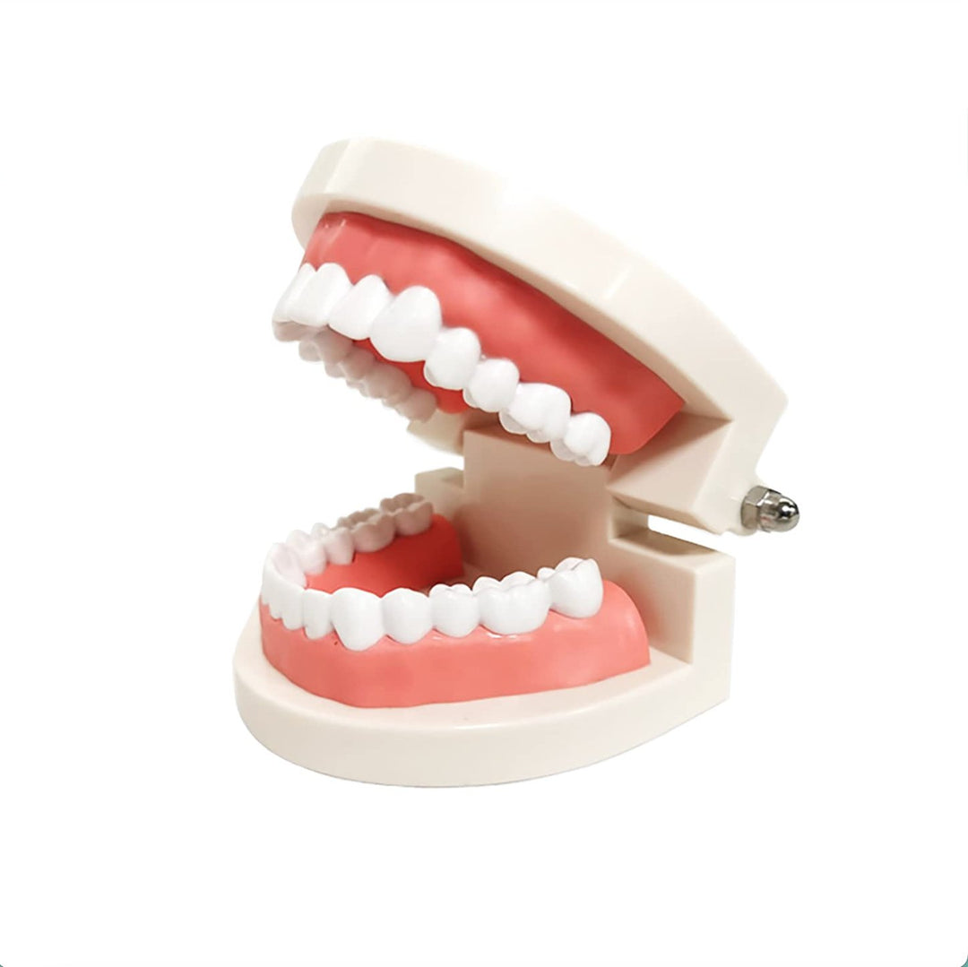 Montessori 'Brush Your Teeth' Educational STEM Toy