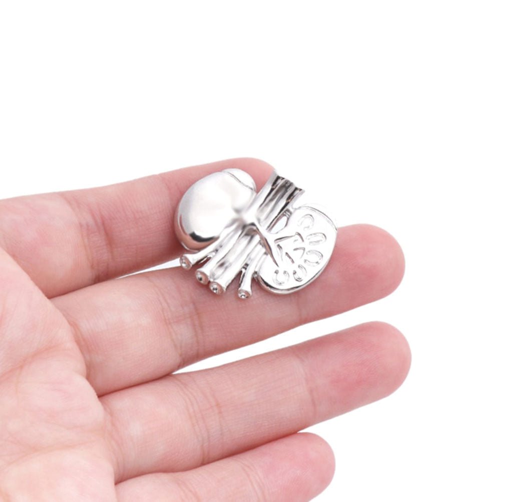 Anatomical Kidney Pin Silver