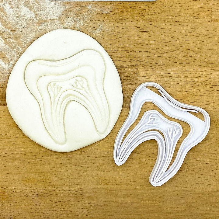 Cross Section Tooth Cookie Cutter, designed to create fun tooth-shaped cookies perfect for dental-themed parties, celebrations, or educational events.