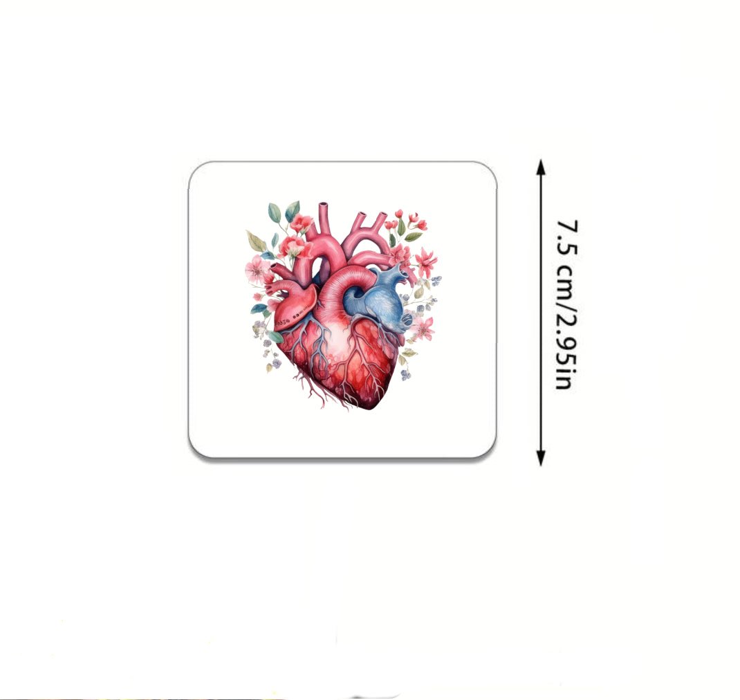 Anatomical heart fridge magnet featuring a detailed heart illustration, perfect for adding a touch of medical flair to your kitchen or office decor.