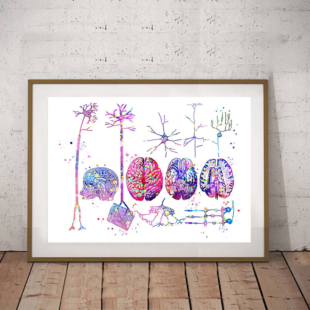 Brain Nervous System Watercolour Print on 100% Cotton Canvas - A vibrant artwork ideal for educators and healthcare professionals, representing the intricacies of the nervous system in an engaging and artistic manner.