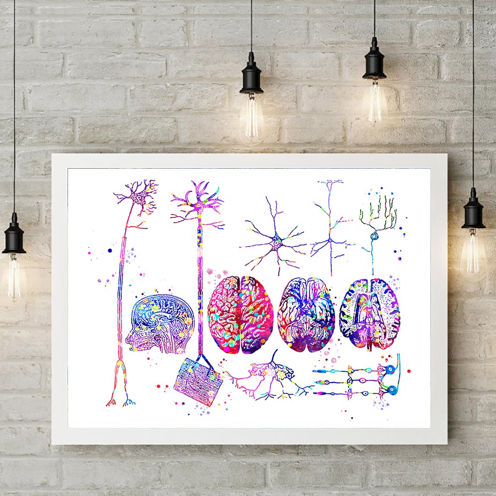 Brain Nervous System 100% Cotton Canvas Watercolour Print