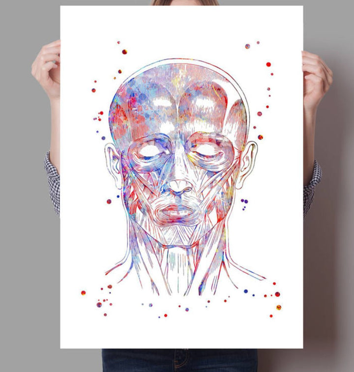 Facial and Neck Muscles - 100% Cotton Canvas Watercolour Print