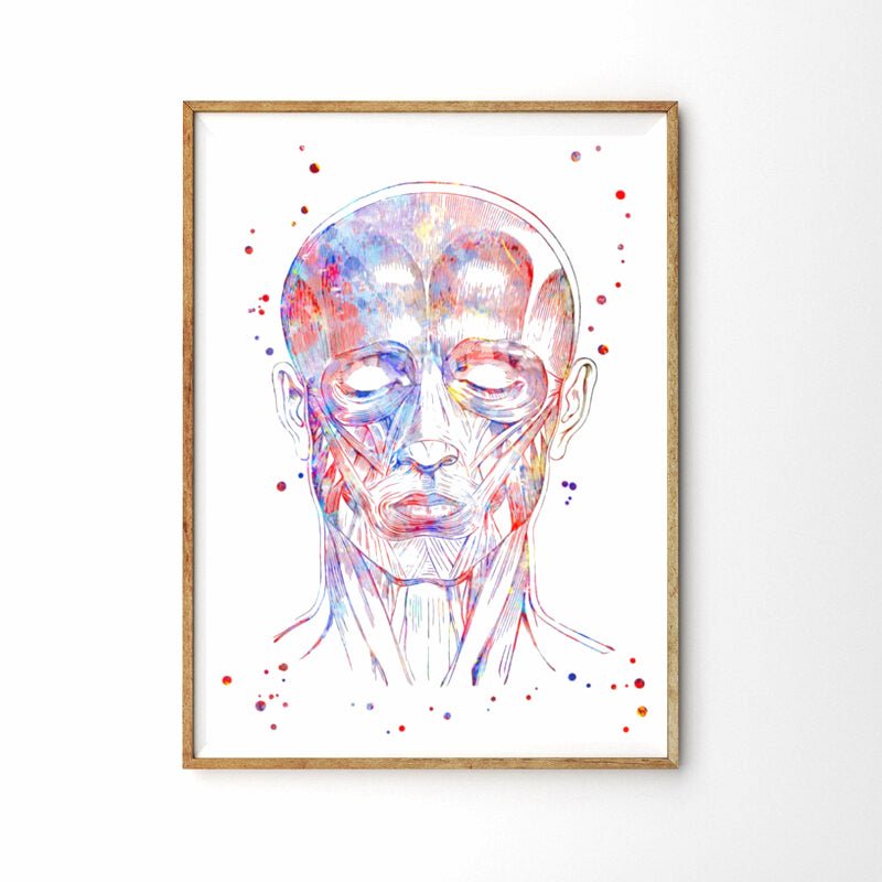 Facial and Neck Muscles - 100% Cotton Canvas Watercolour Print