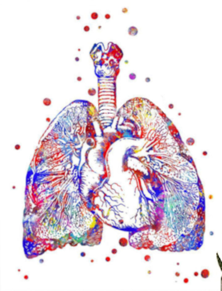 Lungs and Heart Cross Section 100% Cotton  Canvas Watercolour Print