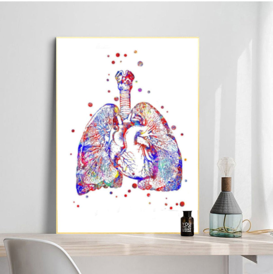 Lungs and Heart Cross Section 100% Cotton  Canvas Watercolour Print