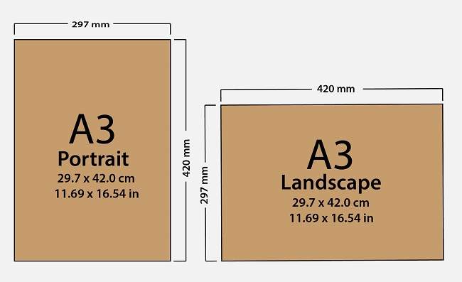 Tooth Cross Section 100% Cotton Canvas Wall Art Print