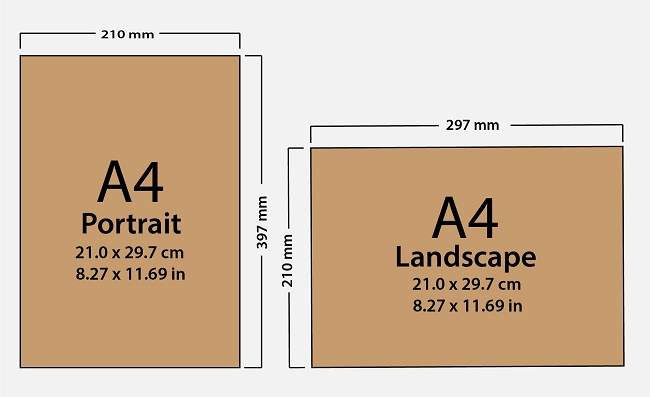 Tooth Cross Section 100% Cotton Canvas Wall Art Print