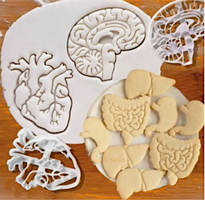 Anatomical Heart Cookie Cutter/Fondant stamp