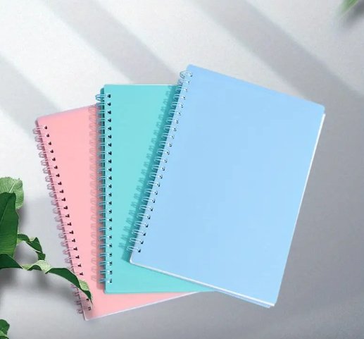 Tooth Fairy Notes Notebook