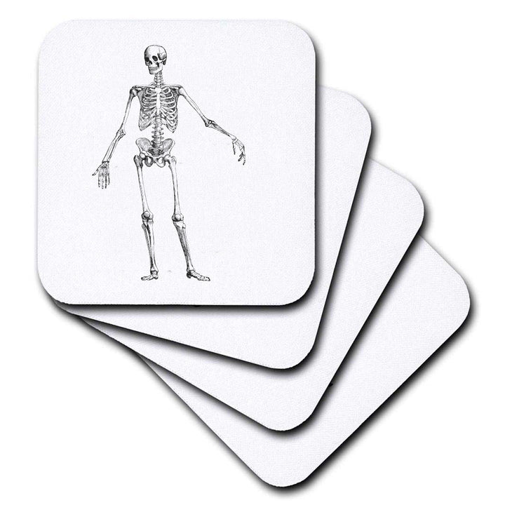 Vintage Skeleton Coasters - Set of 4, featuring detailed skeleton illustrations perfect for home decor or entertaining.