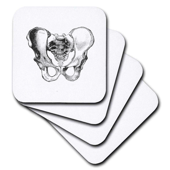 Vintage Pelvis Coasters - Set of 4, featuring intricate anatomical designs, ideal for healthcare professionals and anatomy enthusiasts.