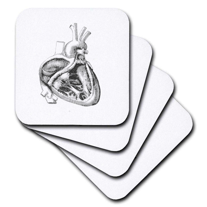 Vintage Heart Cross Section Coasters - Set of 4, featuring detailed anatomical heart designs, perfect for healthcare professionals and anatomy enthusiasts.