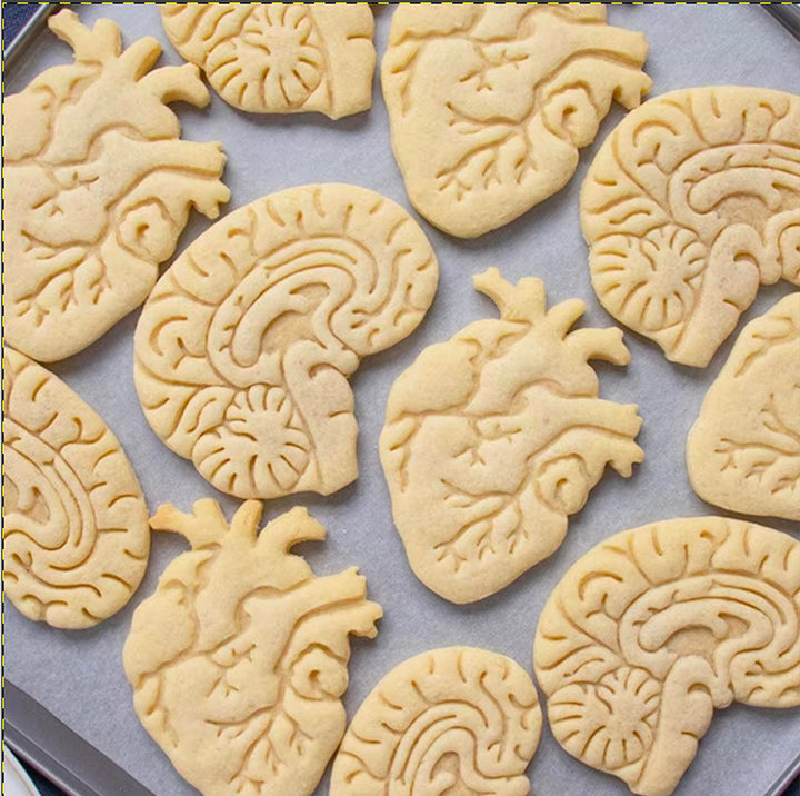 Anatomical Heart Cookie Cutter/Fondant stamp