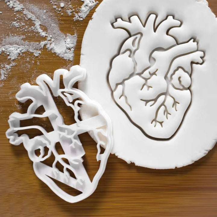 Anatomical Heart Cookie Cutter/Fondant stamp