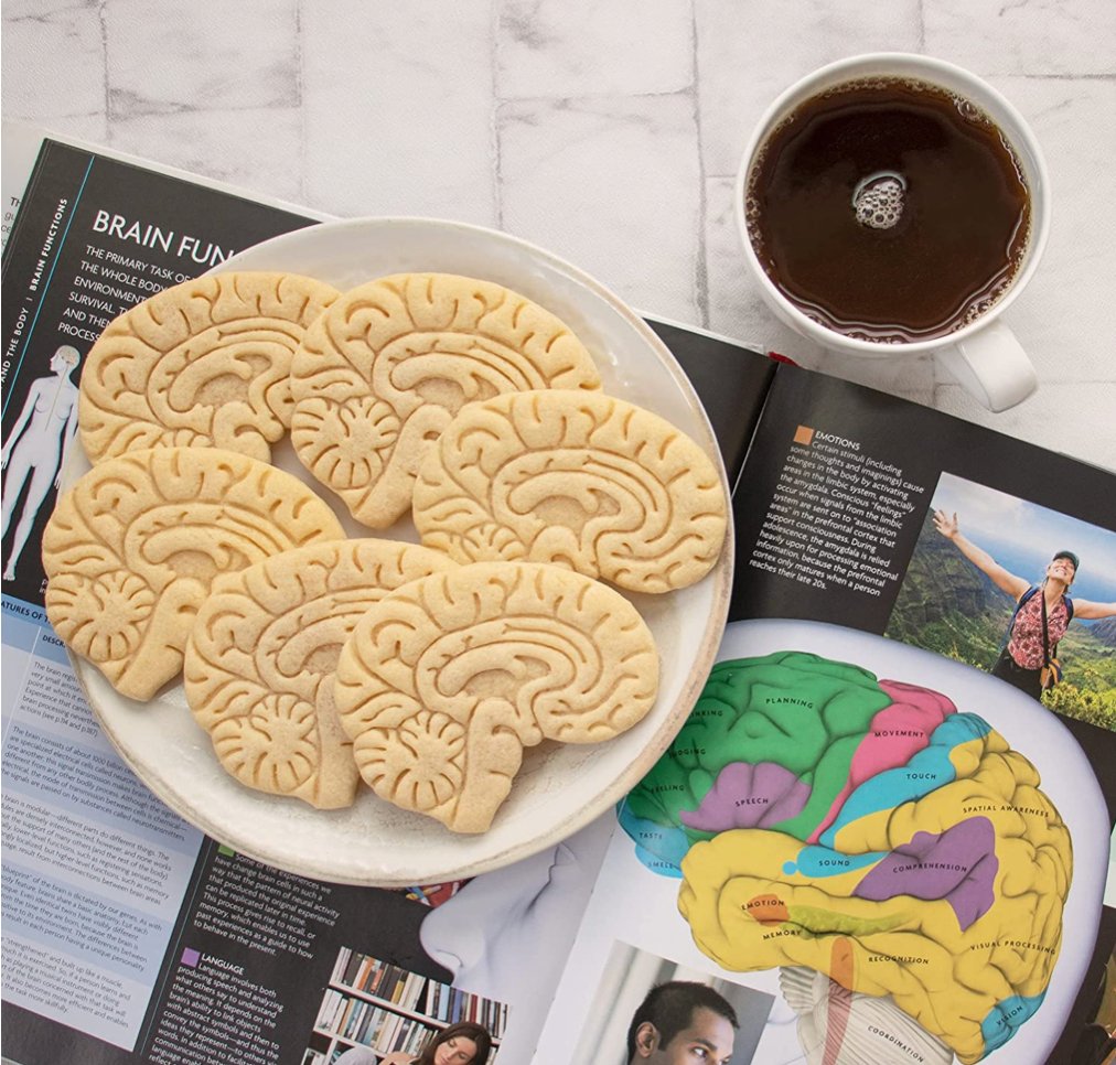 Brain Stem Cookie Cutter