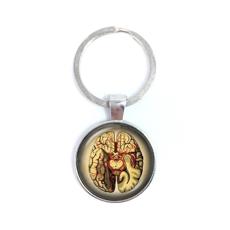 Cerebral Cortex Cabochon Image Keyring featuring a detailed design of the brain's cerebral cortex, perfect for neuroscience enthusiasts and as a unique accessory.