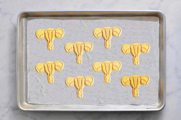 Uterus Womb Cookie Cutter