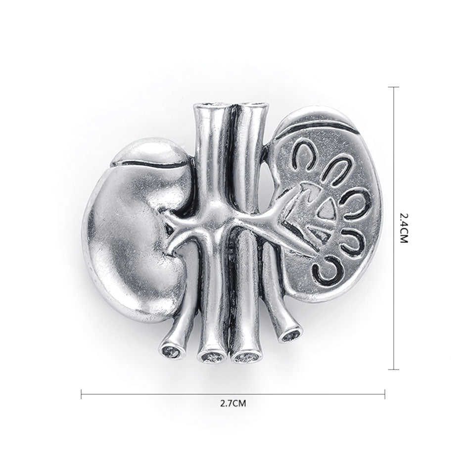 Anatomical Kidney Pin Silver