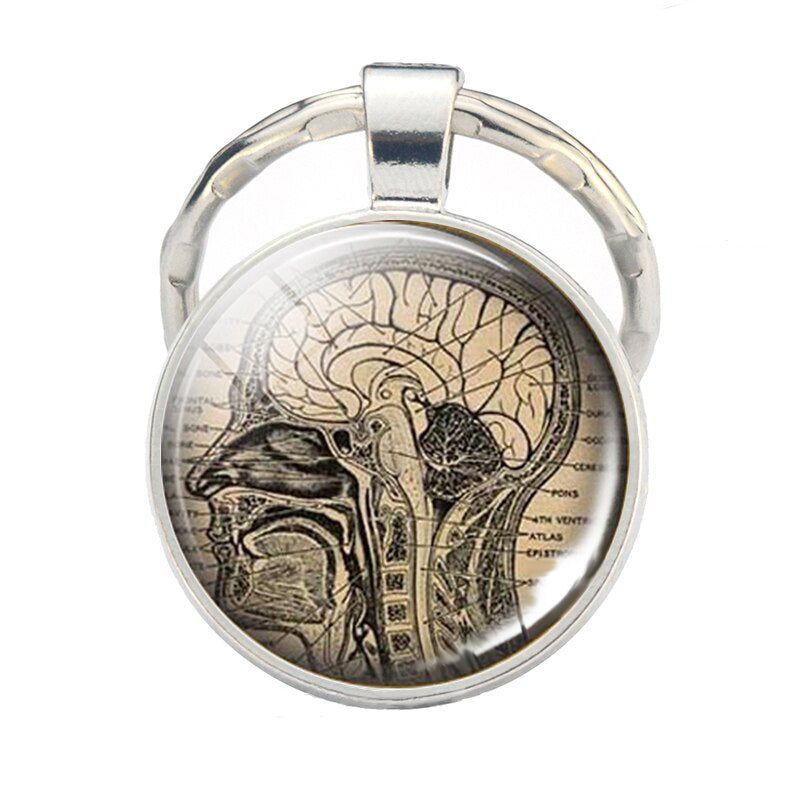 Vintage Head & Brain Cross Section Cabochon Keyring, ideal for health and education professionals, showcasing intricate anatomical details.